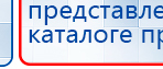 СКЭНАР-1-НТ (исполнение 01)  купить в Мичуринске, Аппараты Скэнар купить в Мичуринске, Официальный сайт Дэнас kupit-denas.ru